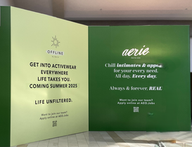 Aerie Offline